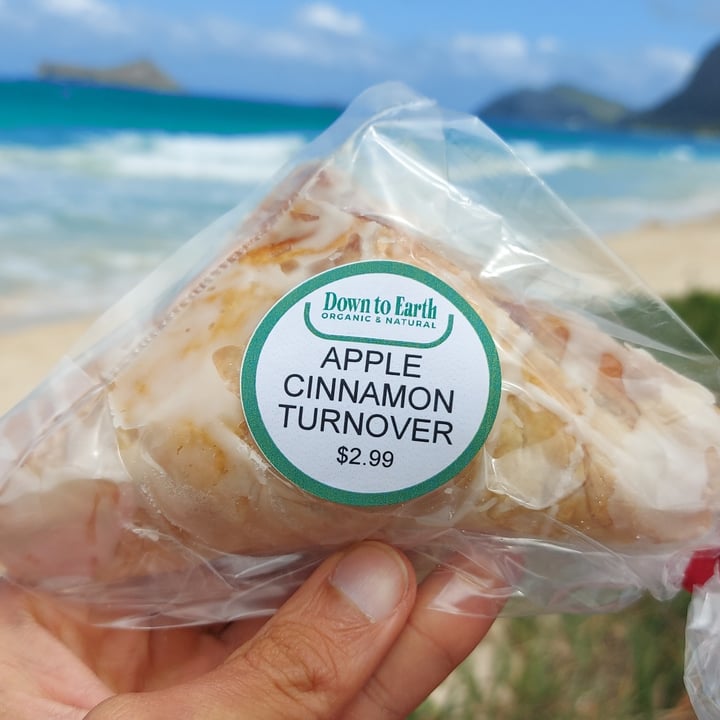 photo of Down to Earth Organic & Natural- Kailua Apple Cinnamon Turn Over shared by @pucky on  08 May 2024 - review
