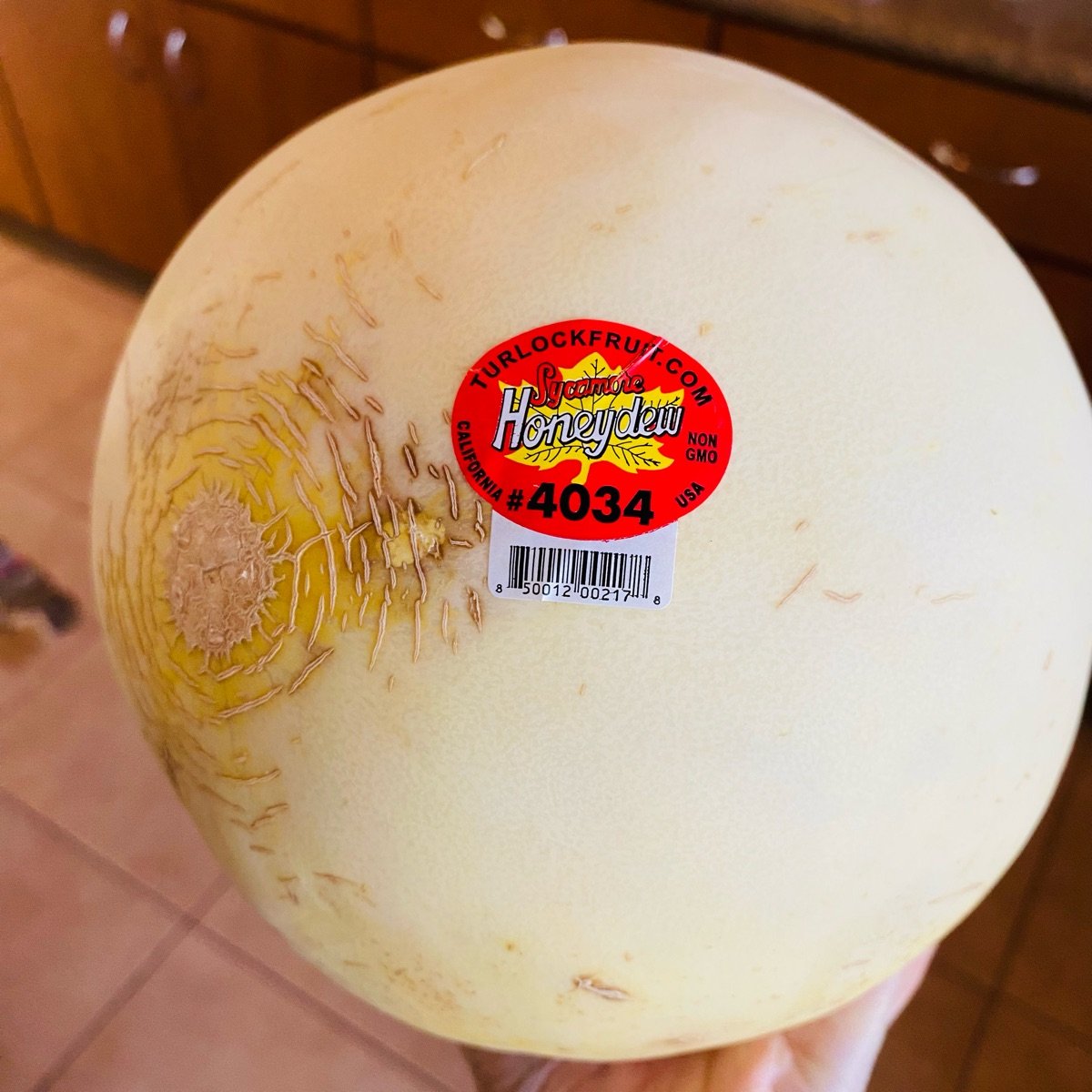 Turlock Fruit Company Sycamore Honeydew Melon Reviews abillion