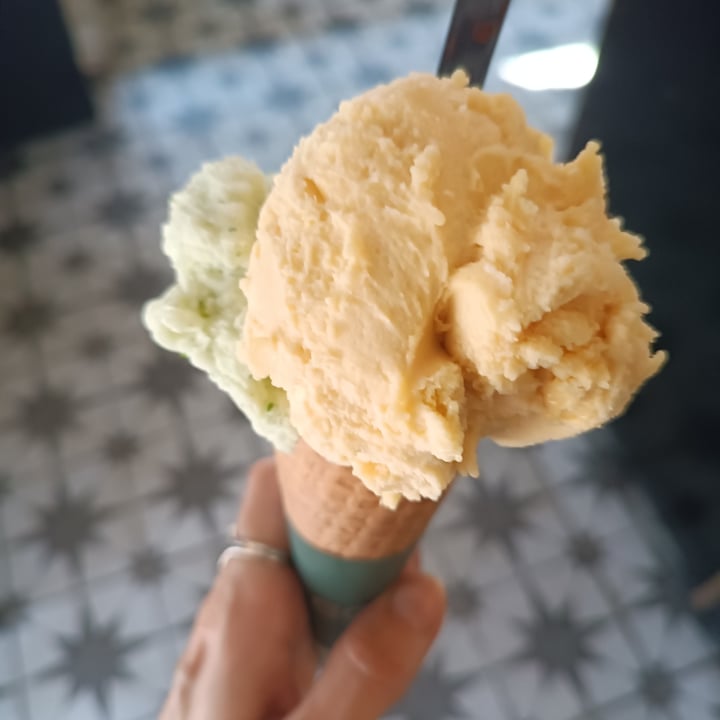 photo of Golda limoncello sorbet shared by @flowvegan on  22 Feb 2024 - review