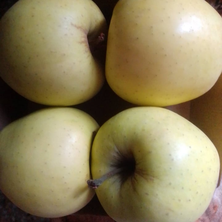 photo of Vivi verde bio Coop Mele Golden delicious Bio shared by @robertaboschi on  20 May 2024 - review