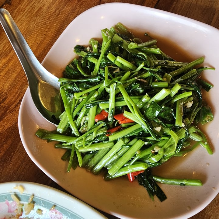 photo of รุ่งโภชนา morning glory shared by @toko on  01 Mar 2025 - review
