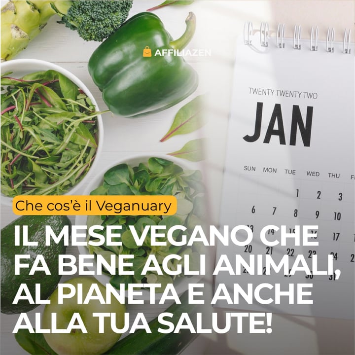 photo shared by @affiliazen on  26 Dec 2024 - post