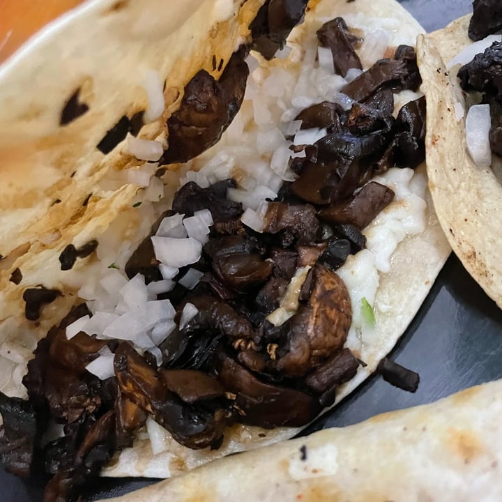 photo of Amor Del Bueno Quesadilla De Champinuon shared by @canica on  21 Sep 2025 - review