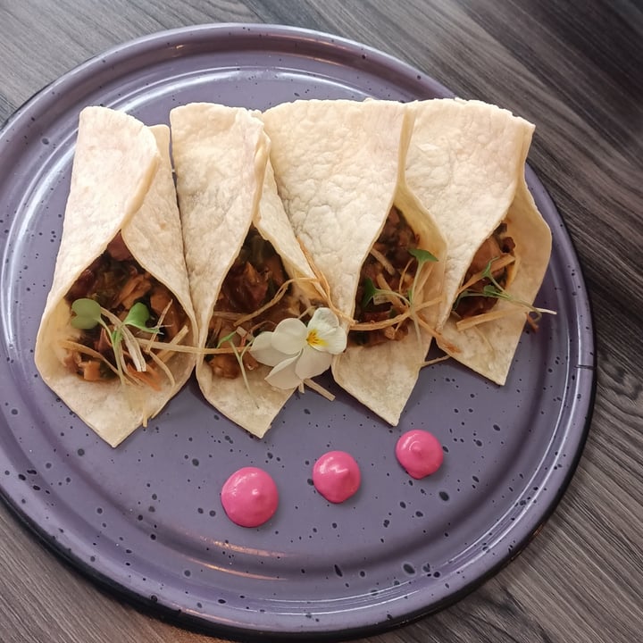 photo of Mestizo Vegano Tacos de chicharron shared by @catacc on  18 Sep 2025 - review
