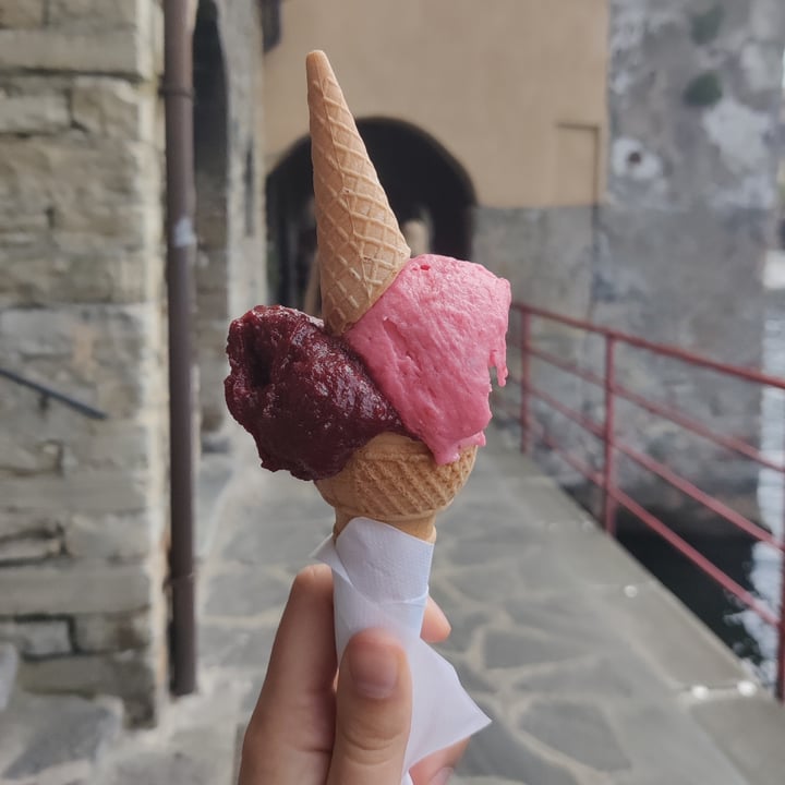 photo of Riva Gelato mirtilli e lampone shared by @ardemia on  26 Apr 2024 - review