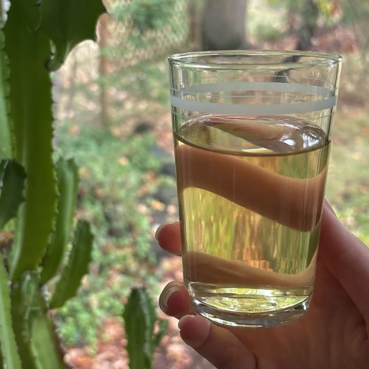 photo of Corpse Reviver Botanical Hydration Libation shared by @hereforareason on  08 Oct 2025 - review