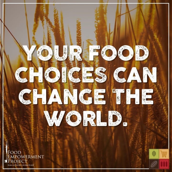 photo shared by @foodispower on  02 Jul 2024 - post