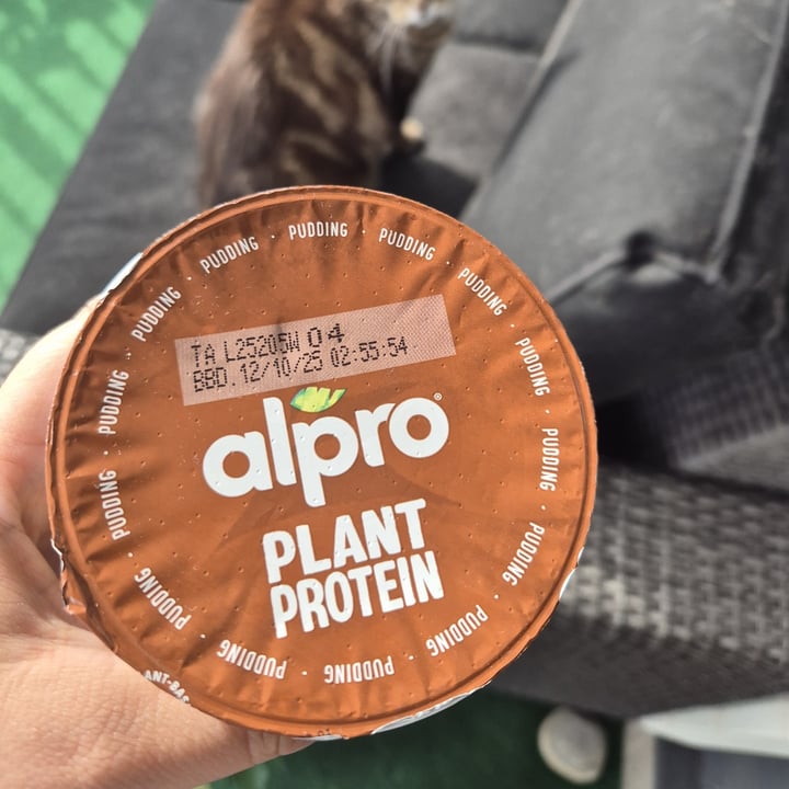 photo of Alpro plant protein chocolate flavour pudding shared by @enkelvegan on  07 Oct 2025 - review