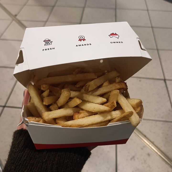 photo of Lord of the Fries - Flinders Station Shoestring Fries shared by @tardisco on  03 Jun 2024 - review