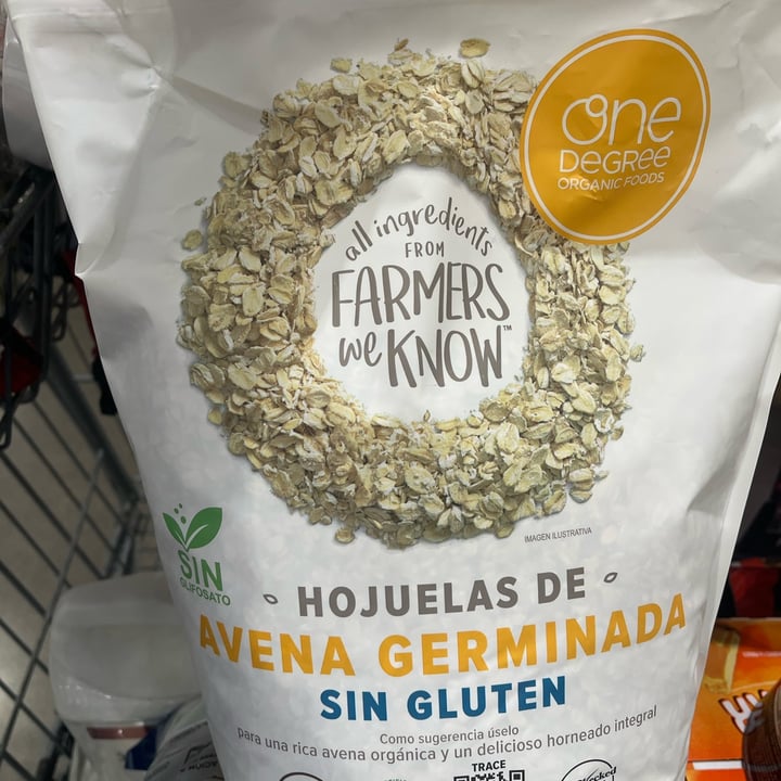 photo of One Degree Organic Foods Gluten free sprouted rolled oats shared by @lizmunoz7211 on  19 Aug 2023 - review