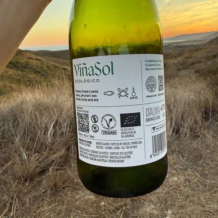 photo of Viñasol Vino blanco shared by @jennyfaye on  30 Sep 2025 - review