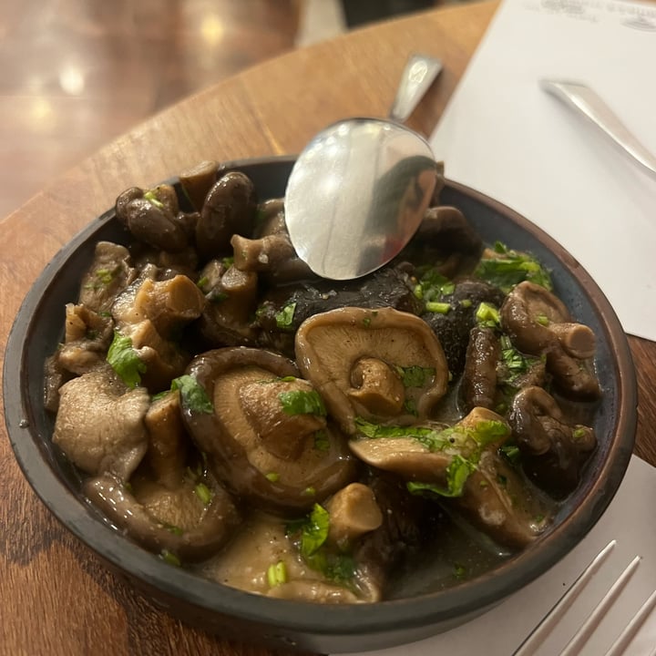 photo of Salobie Bia Funghi shared by @moccymoccy on  19 Sep 2025 - review
