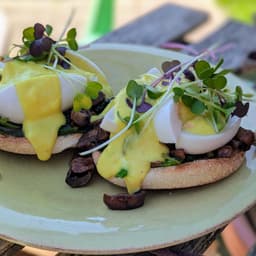 Wunder egg