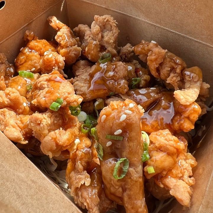 photo of Vegan Nova Orange Chicken shared by @vegangumshoe on  23 Sep 2023 - review