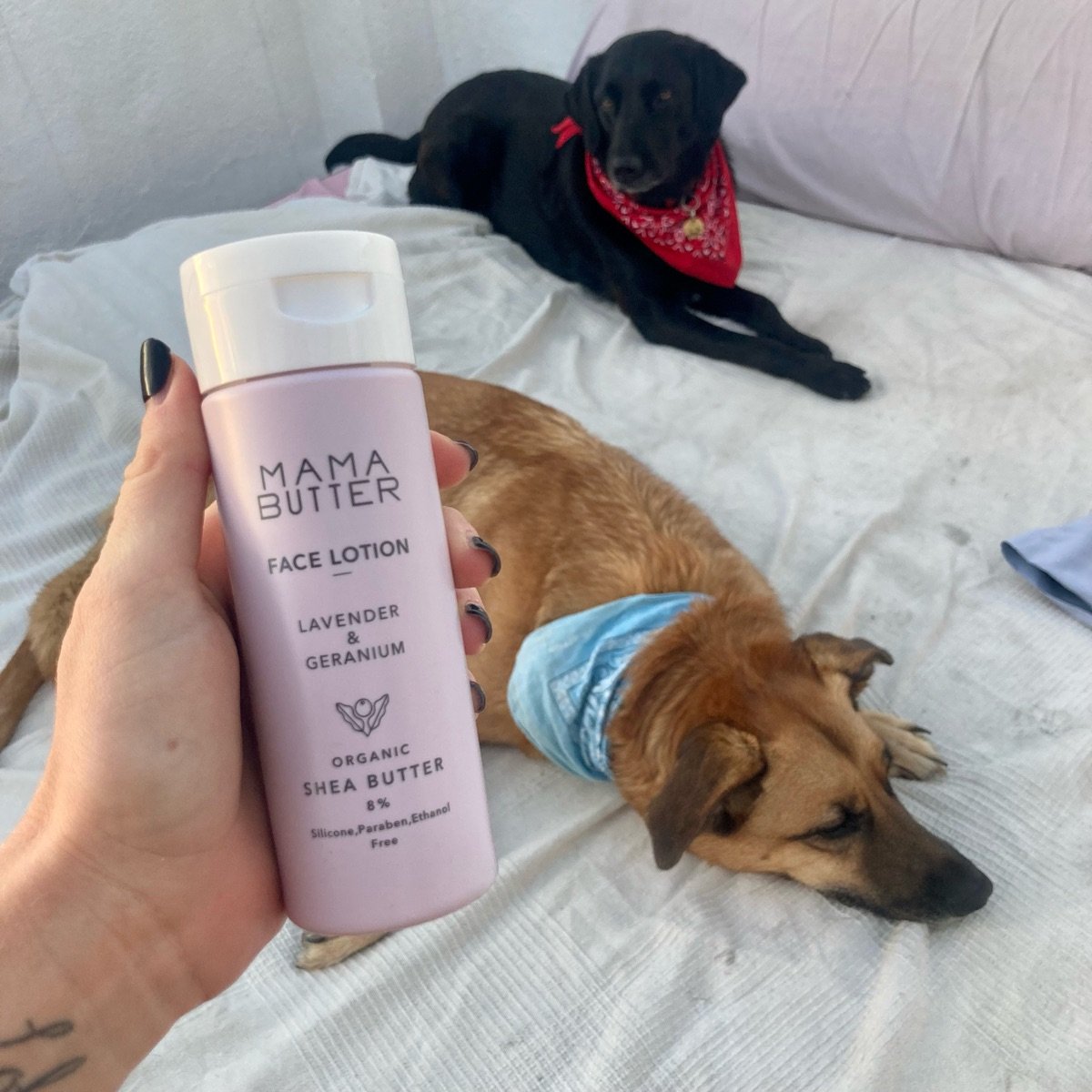 Mama butter Face Lotion Lavender & Geranium Reviews abillion