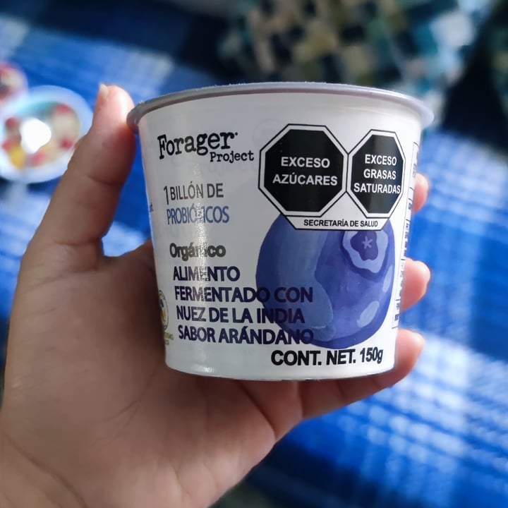 photo of Forager Project Blueberry Cashewmilk Yogurt shared by @quetzallicalhoun on  06 Feb 2024 - review