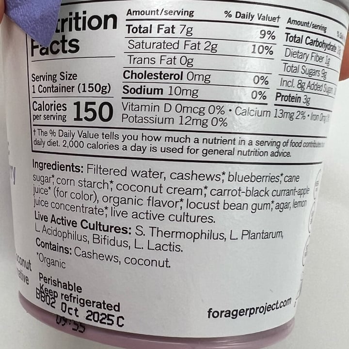photo of Forager Project Blueberry Cashewmilk Yogurt shared by @chefchrissy68 on  15 Sep 2025 - review
