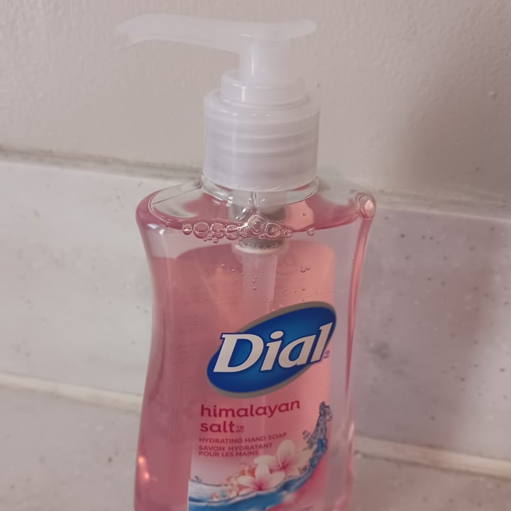 Dial Himalayan Salt Hand Soap Review abillion