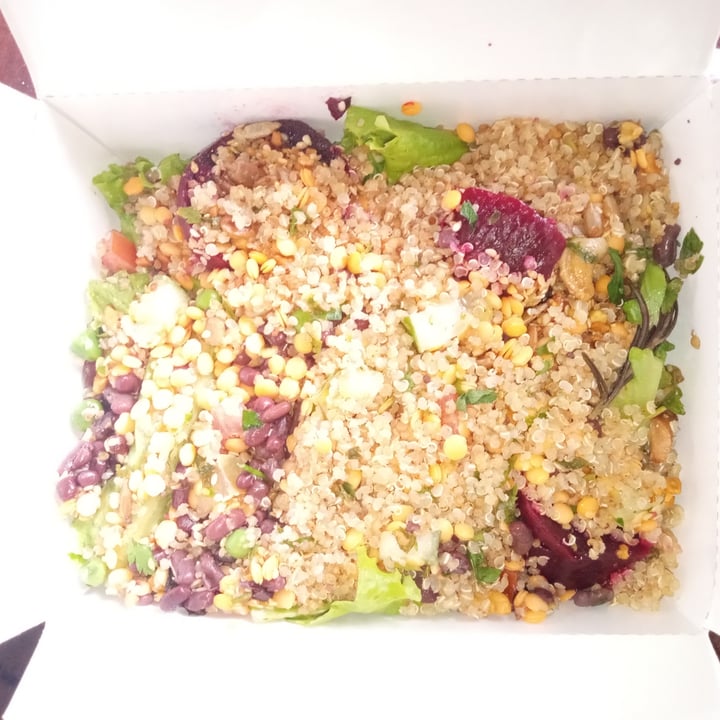 photo of Restaurante Raízes Zen Salada Protéica shared by @ddm on  10 Oct 2025 - review