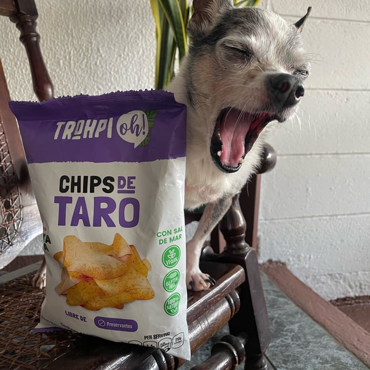 photo of Trohpi oh Chips de Taro shared by @andreaarrieta on  08 Oct 2023 - review