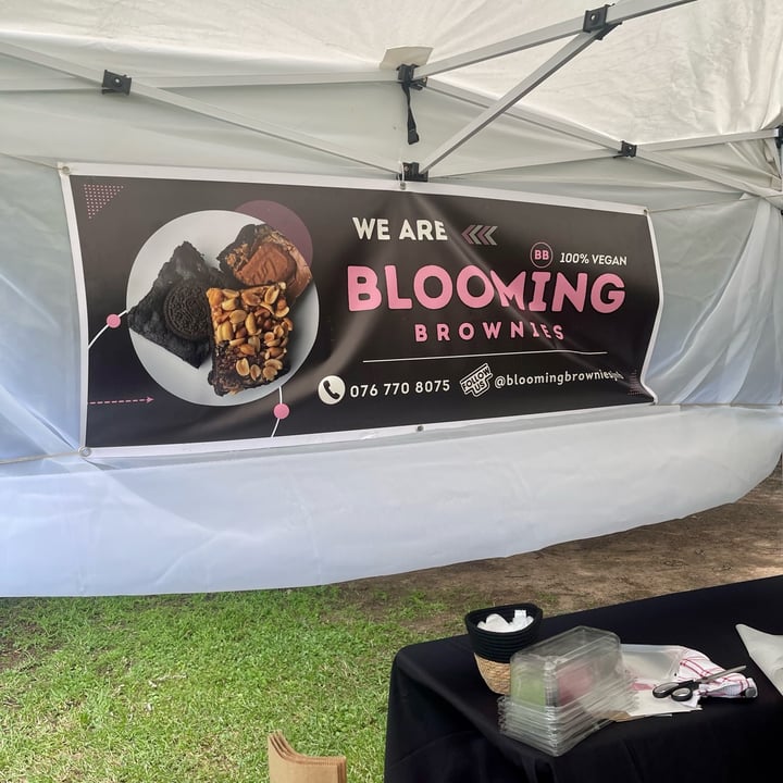 photo of Blooming Brownies S’mores shared by @jeanne-marie on  08 Mar 2024 - review