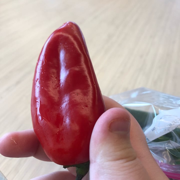 photo of Good & Gather Mini Sweet Peppers shared by @veganjordan1 on  26 Mar 2024 - review