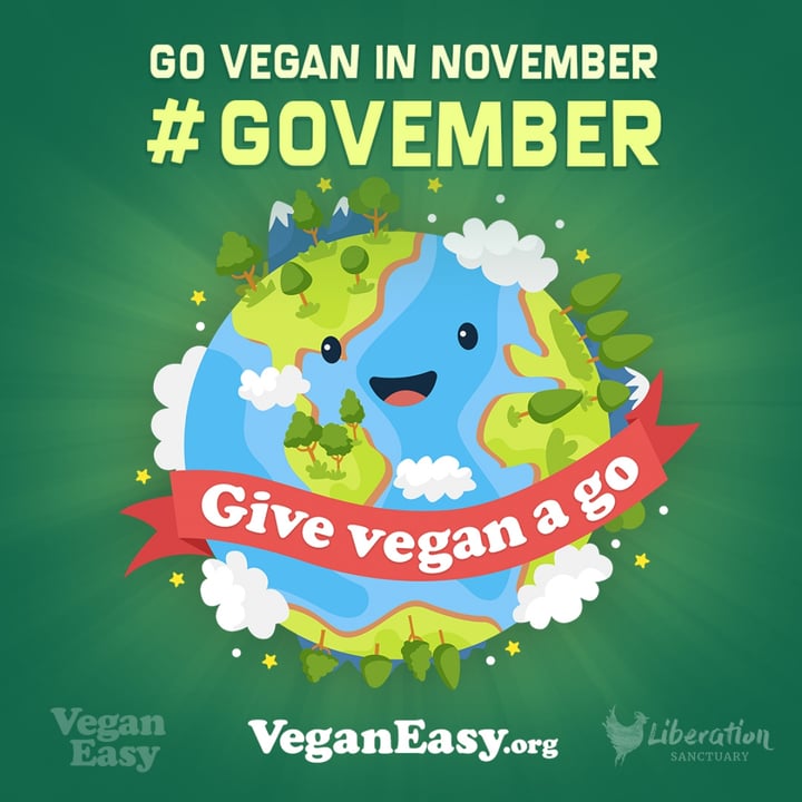 photo shared by @veganeasychallenge on  03 Oct 2023 - post