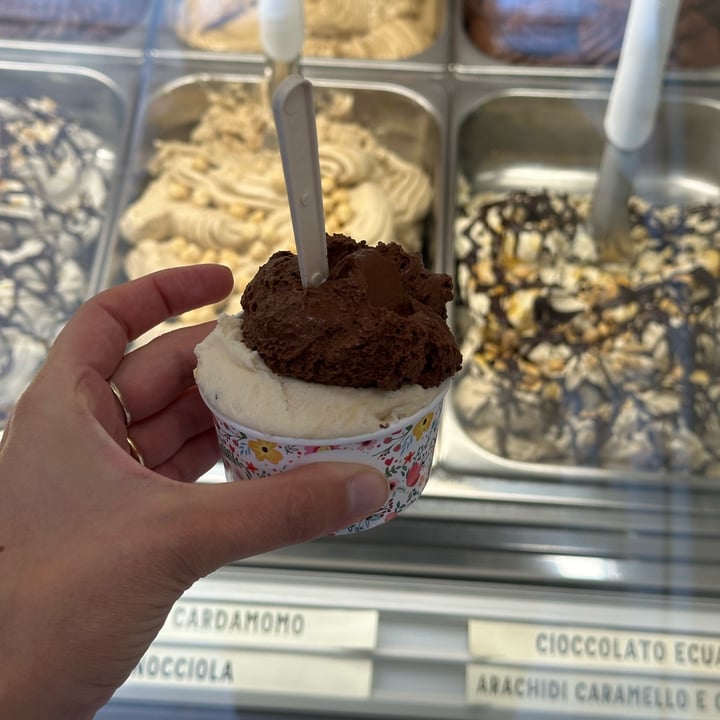 photo of Gelato Giusto Arachide, caramello e cioccolato shared by @plantbasedpaola on  02 Nov 2024 - review