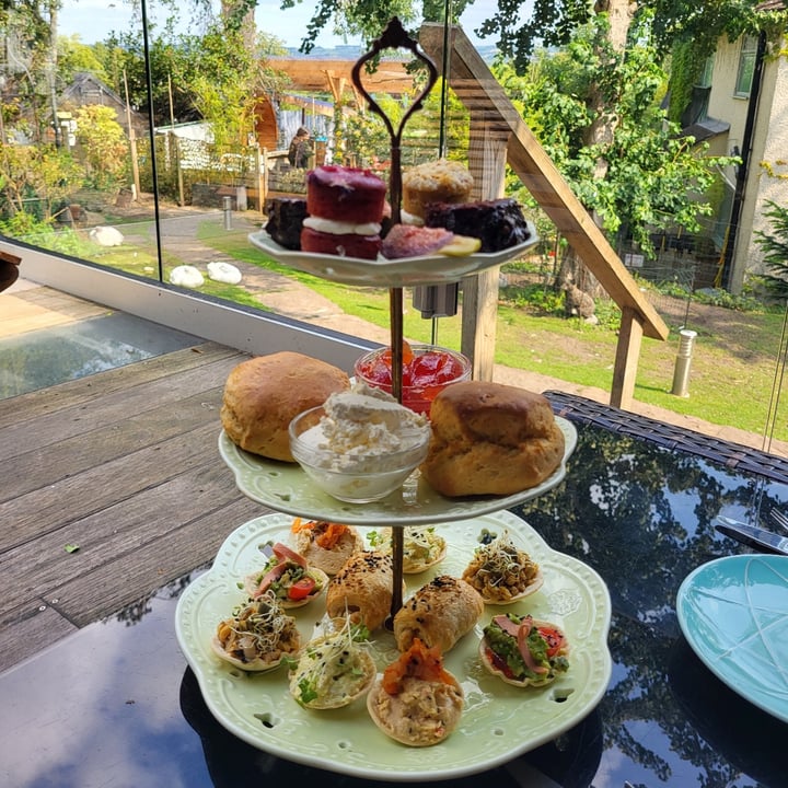 photo of The Base Vegan Retreat Animal Sanctuary Afternoon tea shared by @ecovegangeek on  14 Aug 2025 - review
