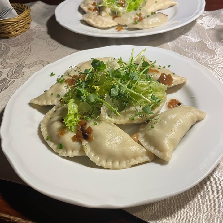 photo of Piwnica pod Złotą Pipą pierogi ai funghi shared by @nebbia on  21 Mar 2024 - review