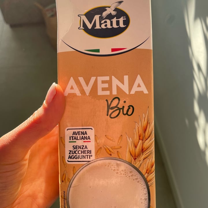 photo of Matt Avena bio shared by @gioper on  07 Mar 2025 - review