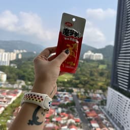 卫龙 Weilong Delicious