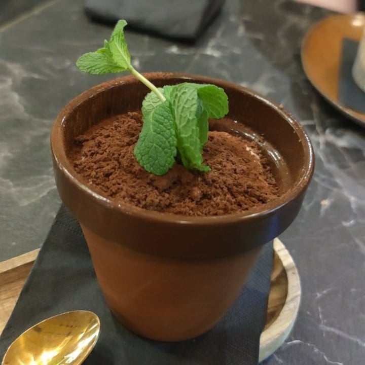 photo of Plant Bistrot Piantamisù shared by @komorebima on  24 Mar 2024 - review