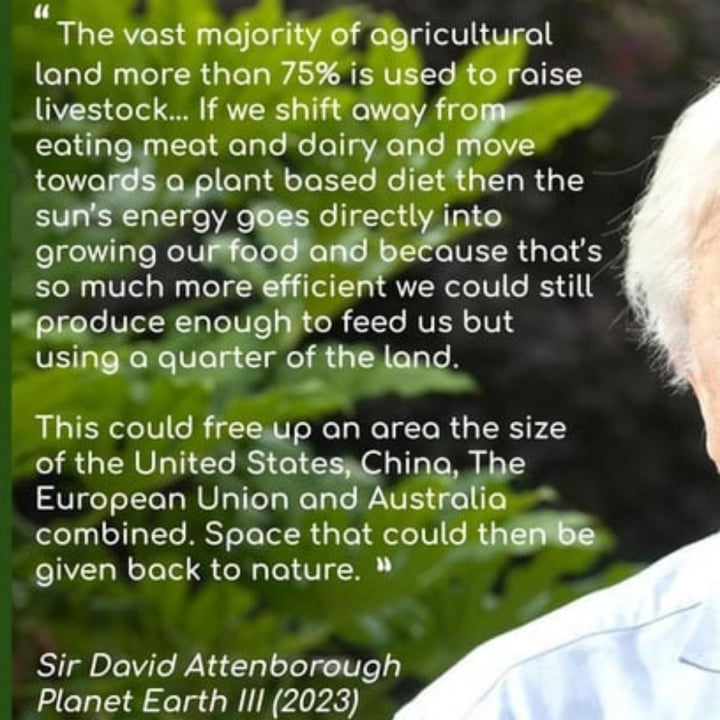 photo shared by @veganalchemy on  23 Sep 2025 - post