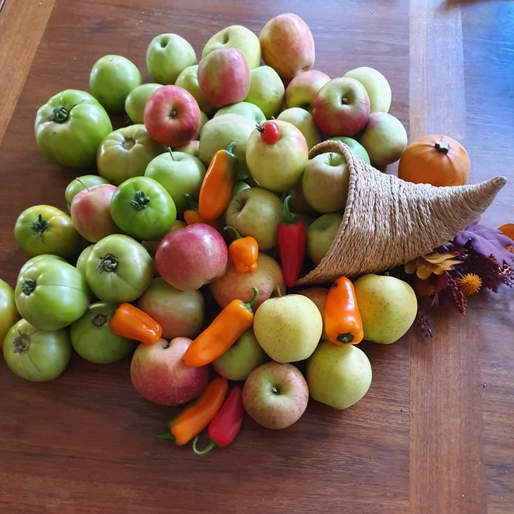 photo of Beilke Family Farm U-Pick Apples shared by @anistavrou on  11 Dec 2024 - review