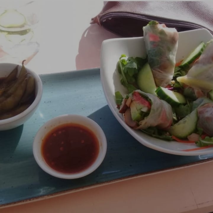 photo of Plant - Camps bay Rice Paper Rolls shared by @jhonesneider on  30 Jan 2024 - review
