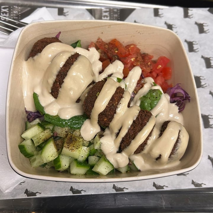 photo of Daddy Cool falafel salad shared by @ismifloriana on  25 Jun 2025 - review