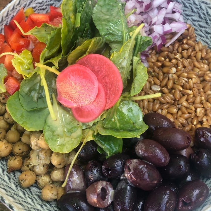 photo of Handsome Devil Bistro Mediterranean Farro Bowl shared by @sueprozak on  02 Sep 2023 - review