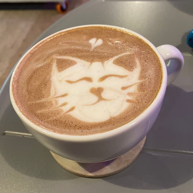 Photo of the dish “chocolate caliente”