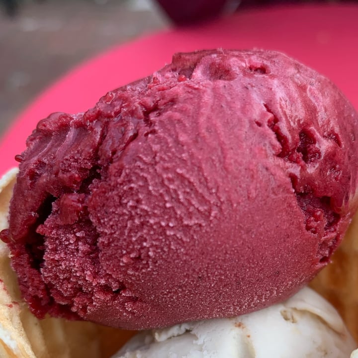 photo of Curbside Creamery Blackberry lime Sorbet shared by @veghui on  02 May 2024 - review