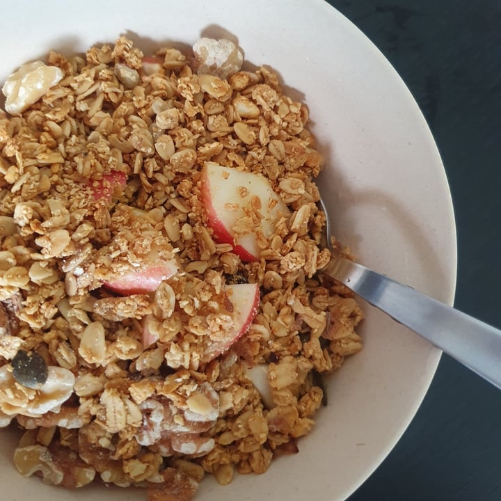 lizi-s-granola-original-nuts-seeds-granola-review-abillion