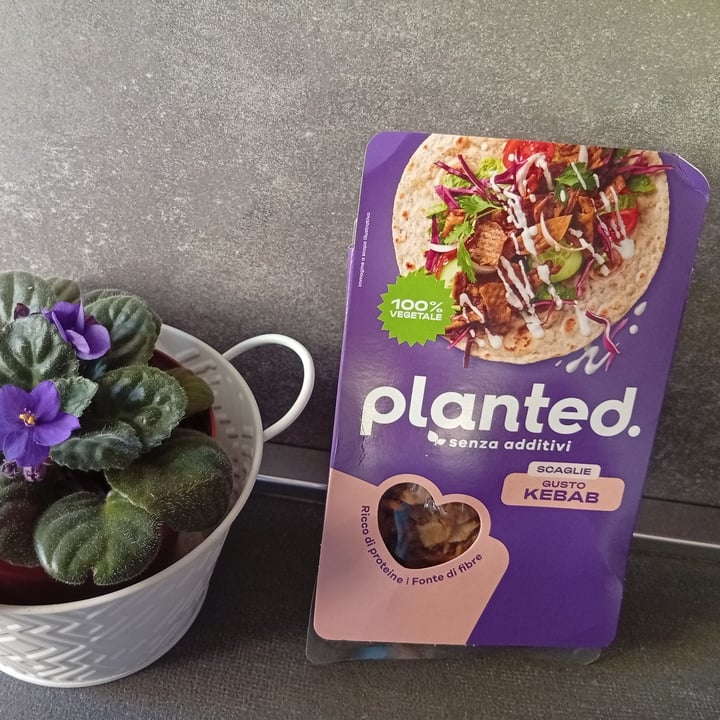 photo of Planted scaglie gusto kebab shared by @luna27 on  28 Jul 2025 - review
