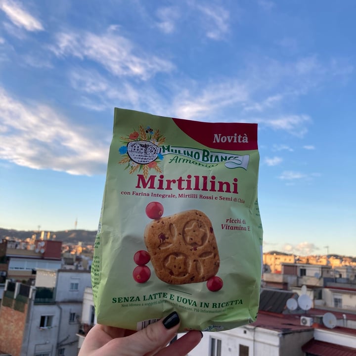 photo of Mulino Bianco Armonia mirtillini shared by @asiayportia on  06 Jan 2024 - review