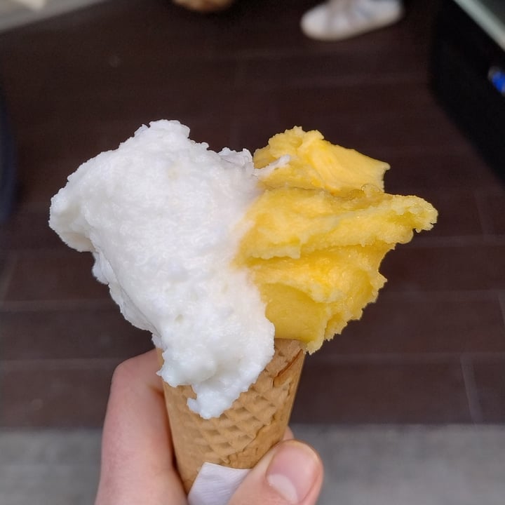 photo of Gelato Cult - Bologna cocco e mandarino shared by @vanessaaa on  28 Apr 2024 - review