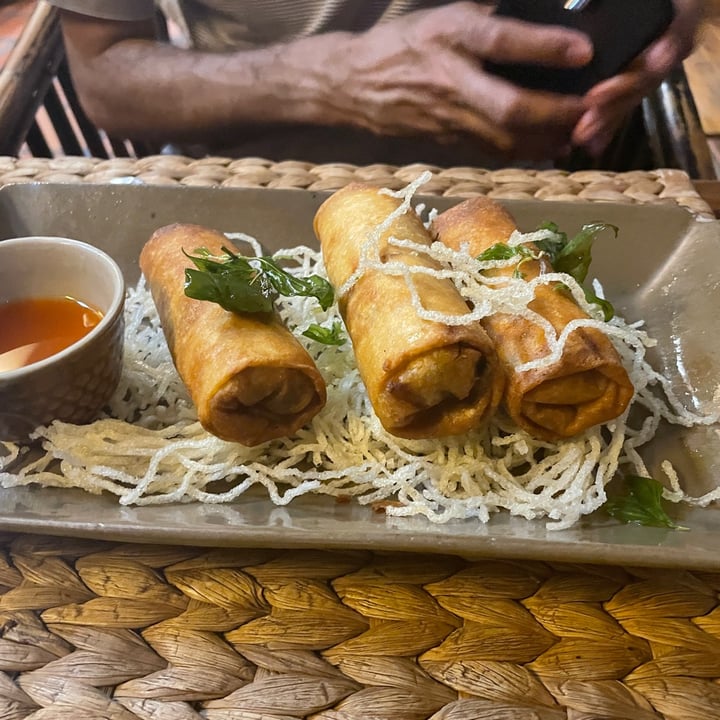 photo of New Leaf Eatery Spring Rolls shared by @keifeewowo on  25 Dec 2023 - review