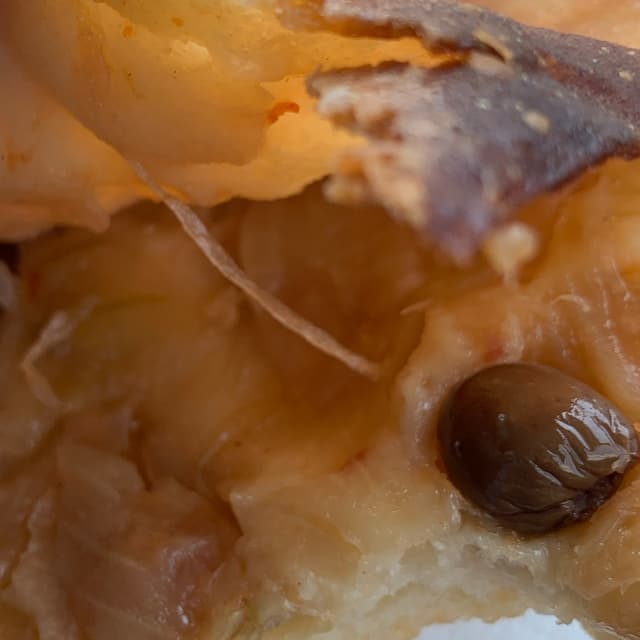 Photo of the dish “calzone cipolle e olive”