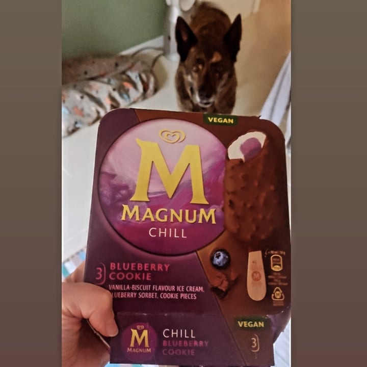 photo of Magnum Chill Blueberry Cookie shared by @felika on  23 Apr 2024 - review