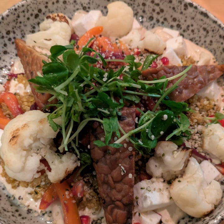 photo of Palo Verde Bistro Quinoa & carrot salad shared by @elisabettaveg on  07 Sep 2025 - review