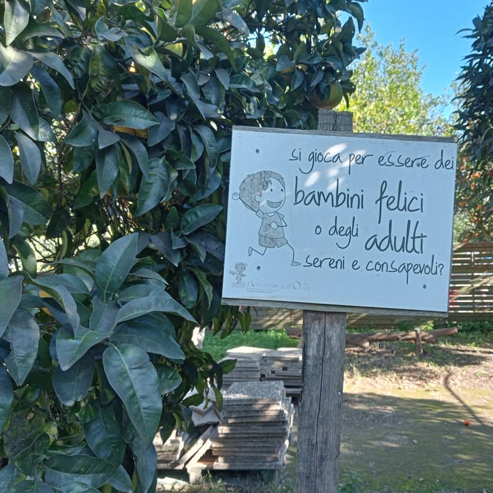 photo of Ristorante Arabo Amir Couscous Di Verdure shared by @sabatoalmercato on  18 Aug 2025 - review