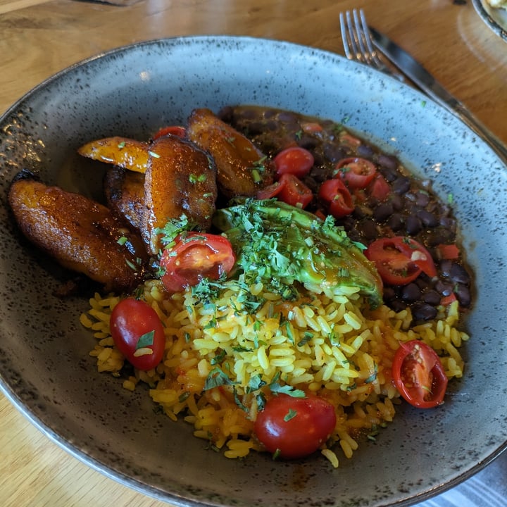 photo of 101 Beer Kitchen Casado Bowl shared by @edav334 on  07 May 2024 - review